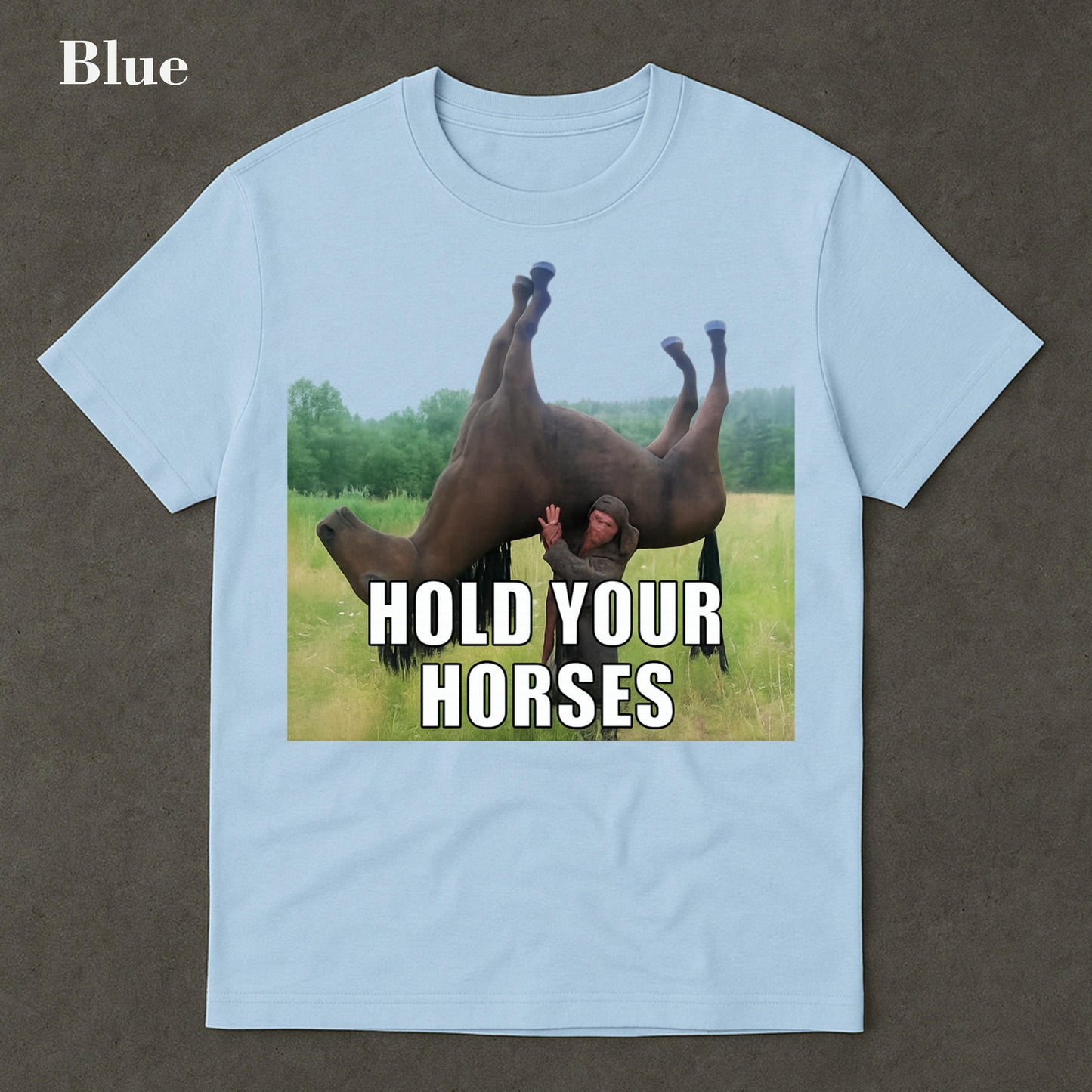 Hold Your Horses Funny Meme T-Shirt – Ironic Graphic Tee