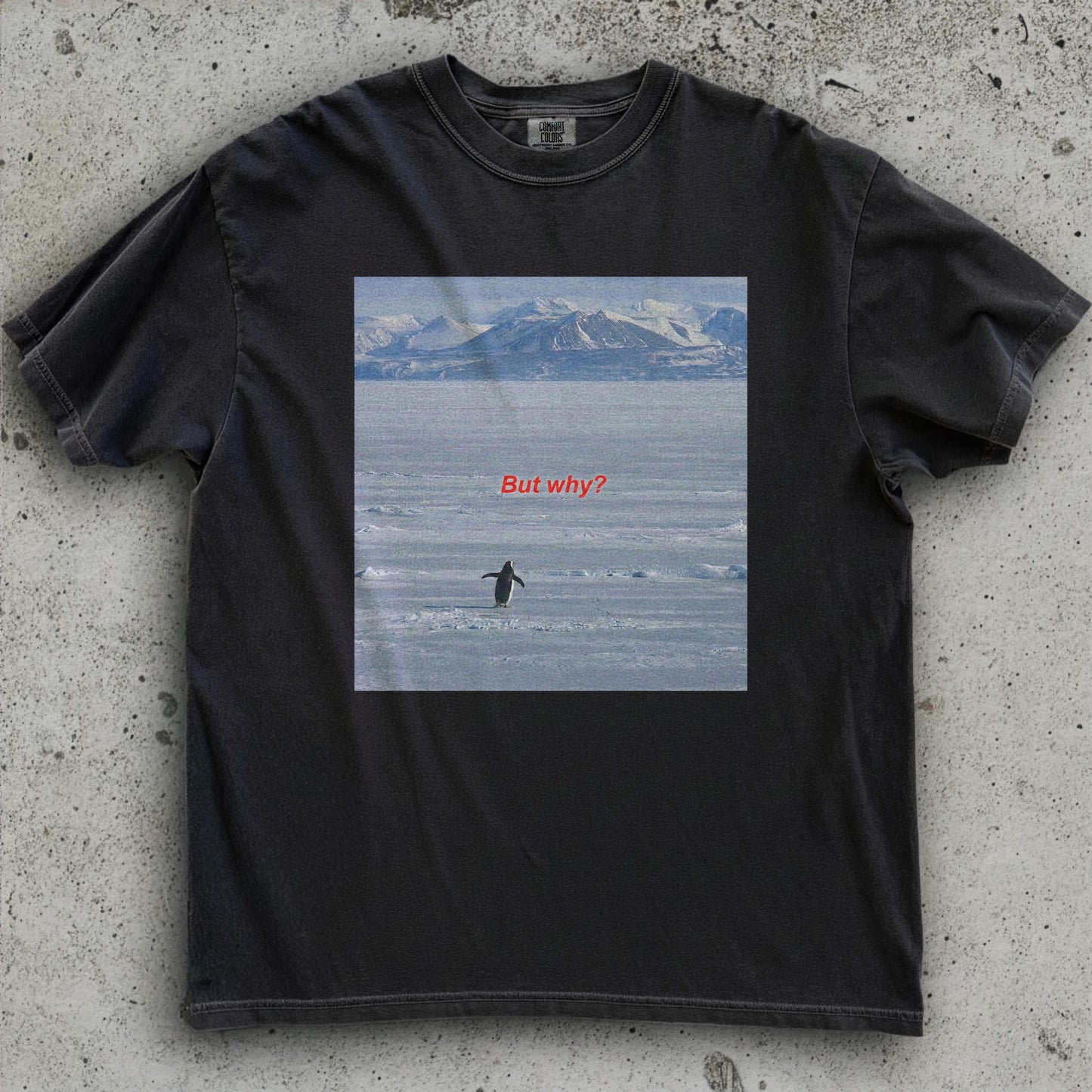 But Why Penguin Graphic T-Shirt – Funny Minimalist Hiking Tee for Outdoor Adventurers