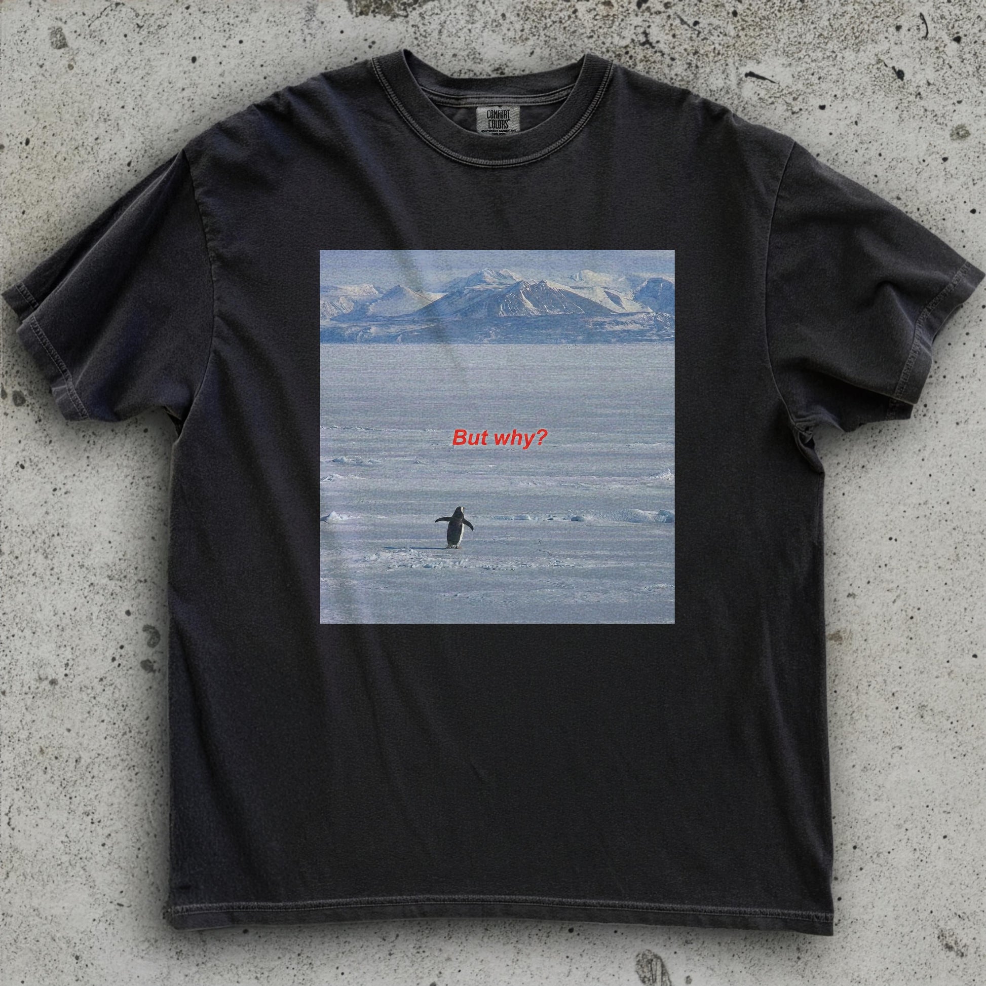 But Why Penguin Graphic T-Shirt – Funny Minimalist Hiking Tee for Outdoor Adventurers
