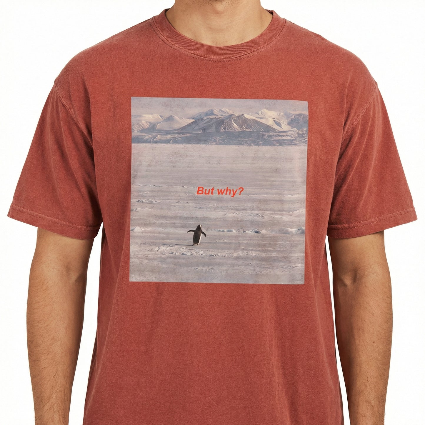 But Why Penguin Graphic T-Shirt – Funny Minimalist Hiking Tee for Outdoor Adventurers