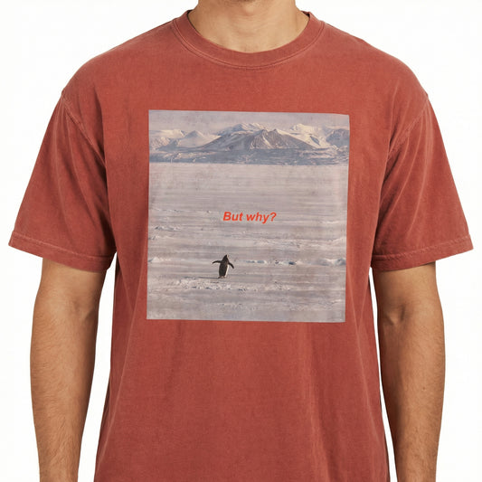 But Why Penguin Graphic T-Shirt – Funny Minimalist Hiking Tee for Outdoor Adventurers