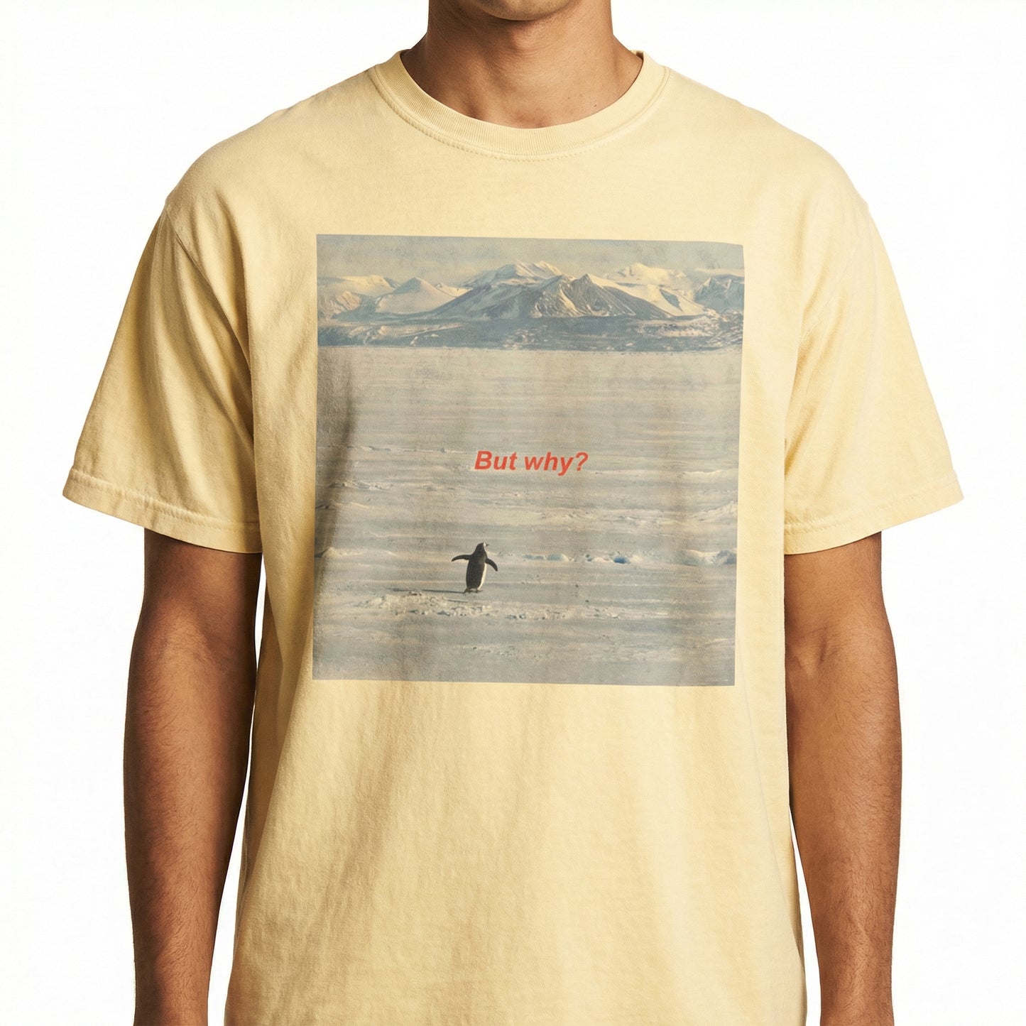 But Why Penguin Graphic T-Shirt – Funny Minimalist Hiking Tee for Outdoor Adventurers