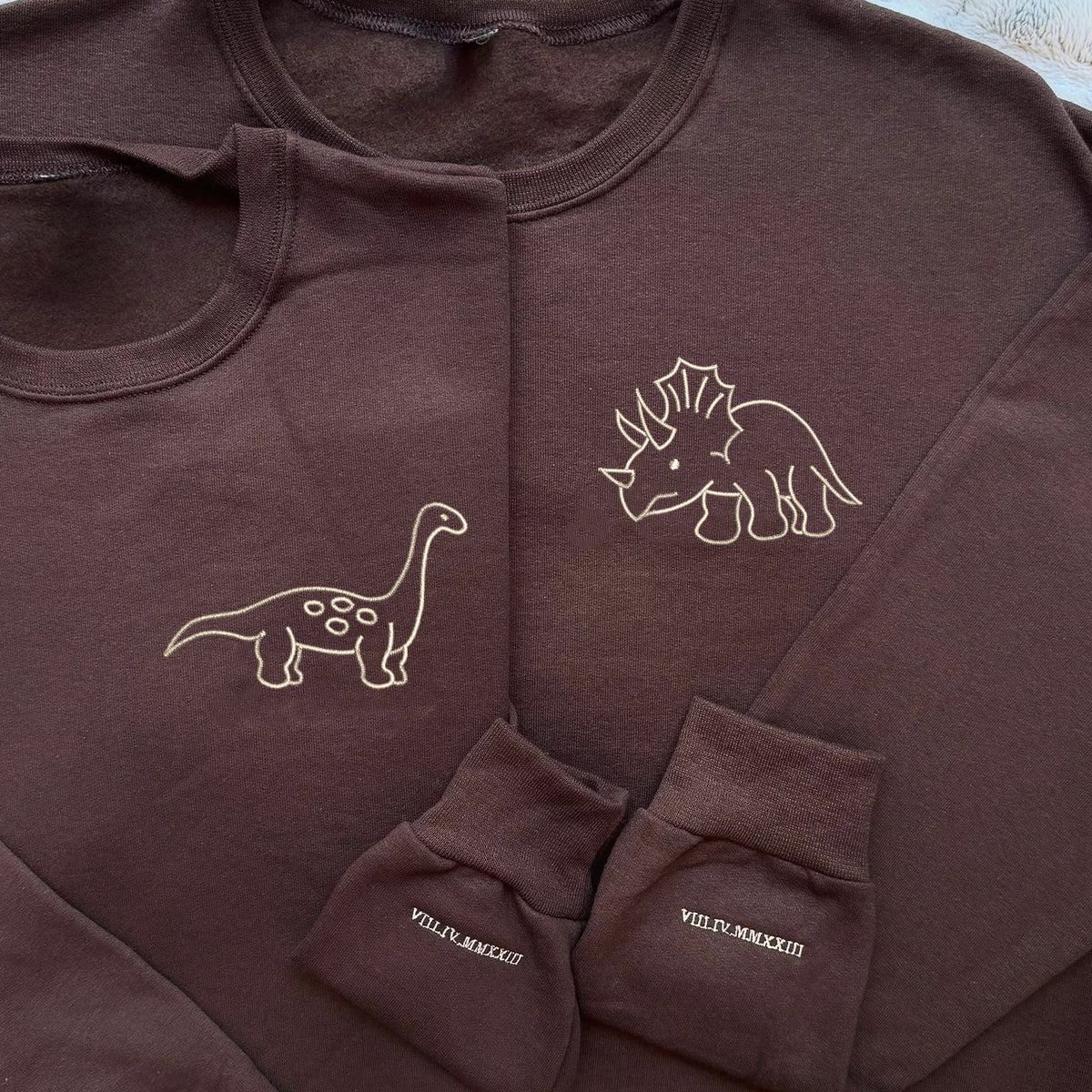 Cute Dinosaur Matching Hoodies for Couples - Custom Embroidered Sweatshirts